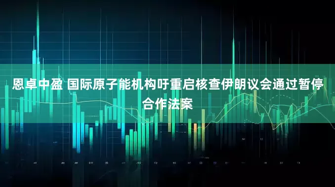 恩卓中盈 国际原子能机构吁重启核查　伊朗议会通过暂停合作法案