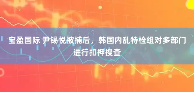 宝盈国际 尹锡悦被捕后，韩国内乱特检组对多部门进行扣押搜查