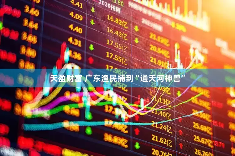 天盈财富 广东渔民捕到“通天河神兽”