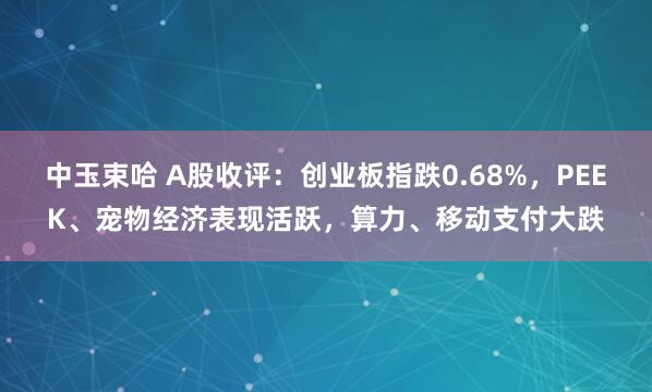 中玉束哈 A股收评：创业板指跌0.68%，PEEK、宠物经济表现活跃，算力、移动支付大跌